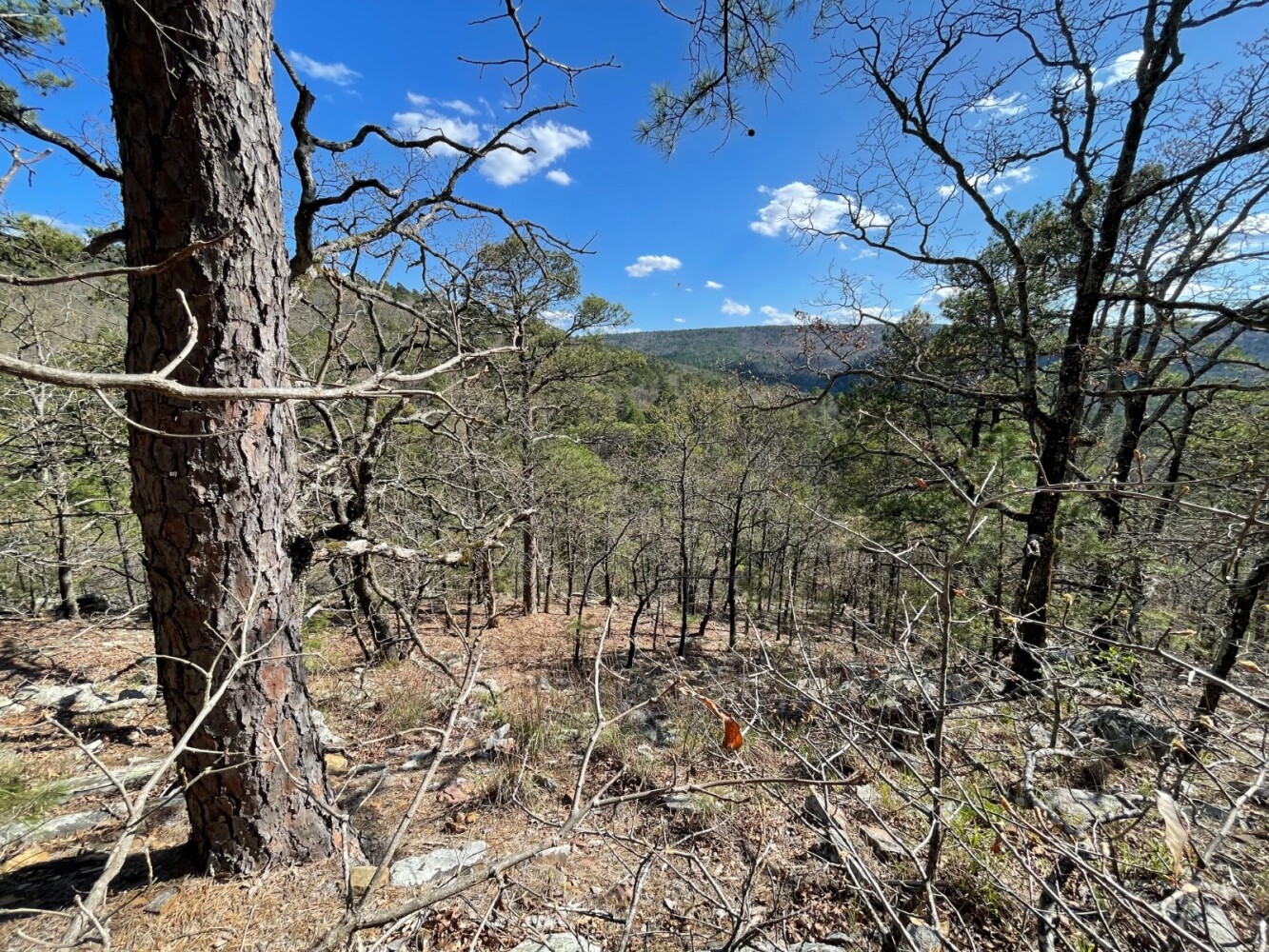 Land for Sale in Pushmataha County, OK (29 of 100)