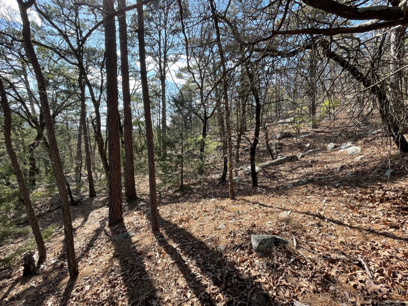 Land for Sale in Pushmataha County, OK (30 of 100)