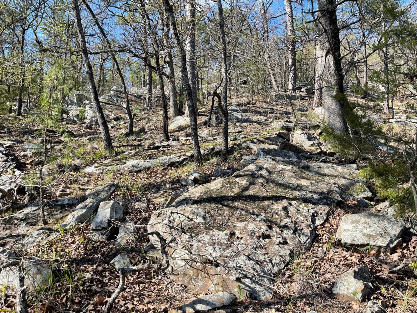 Land for Sale in Pushmataha County, OK (31 of 100)