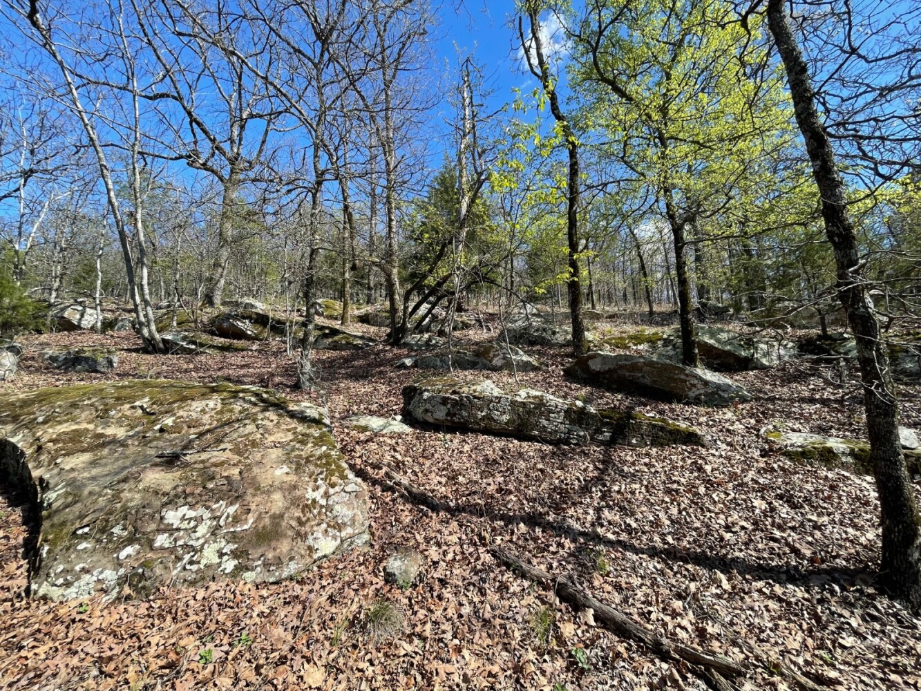 Land for Sale in Pushmataha County, OK (32 of 100)