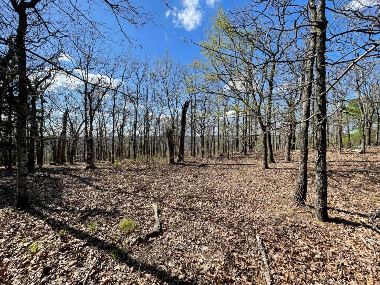 Land for Sale in Pushmataha County, OK (33 of 100)