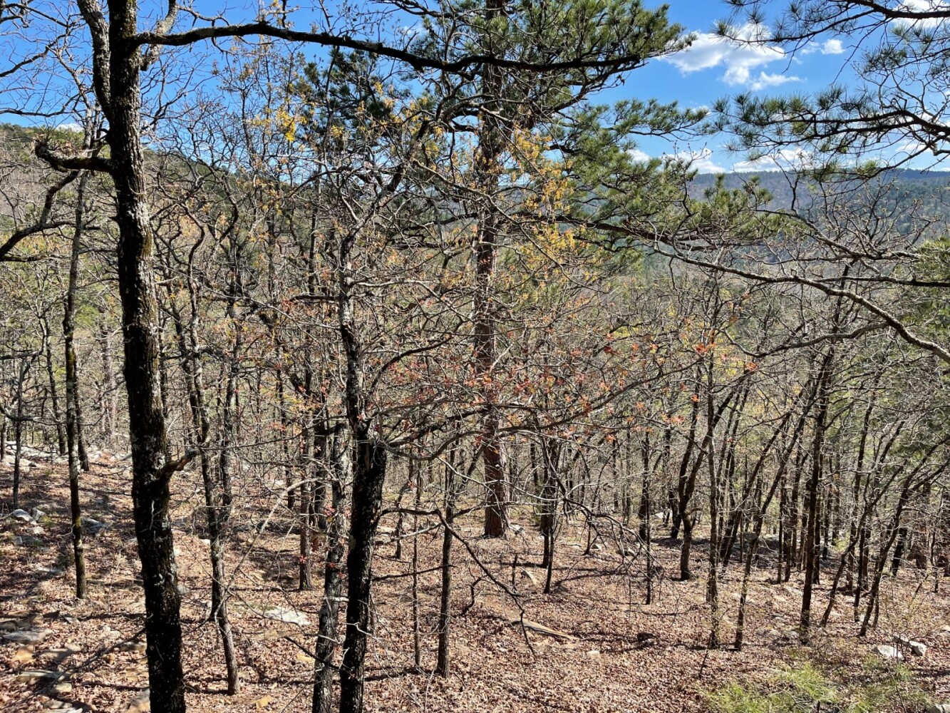 Land for Sale in Pushmataha County, OK (34 of 100)