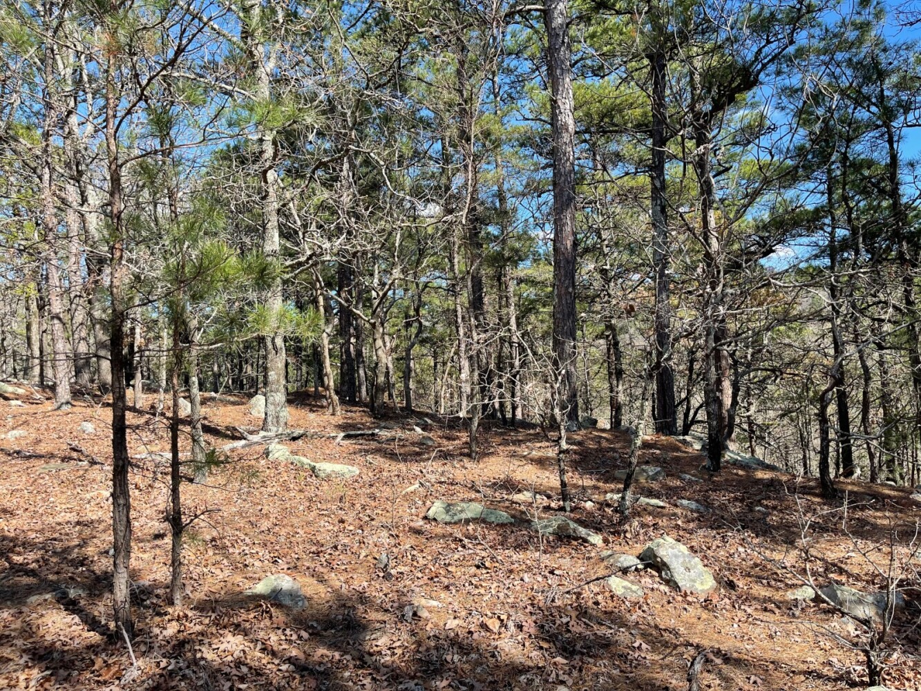 Land for Sale in Pushmataha County, OK (35 of 100)