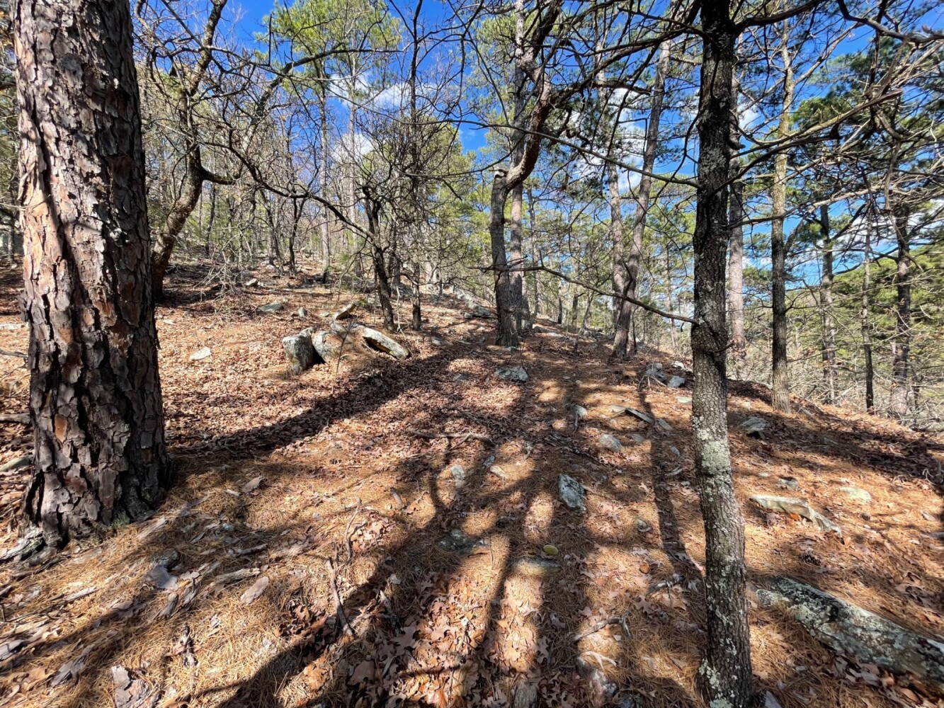 Land for Sale in Pushmataha County, OK (36 of 100)