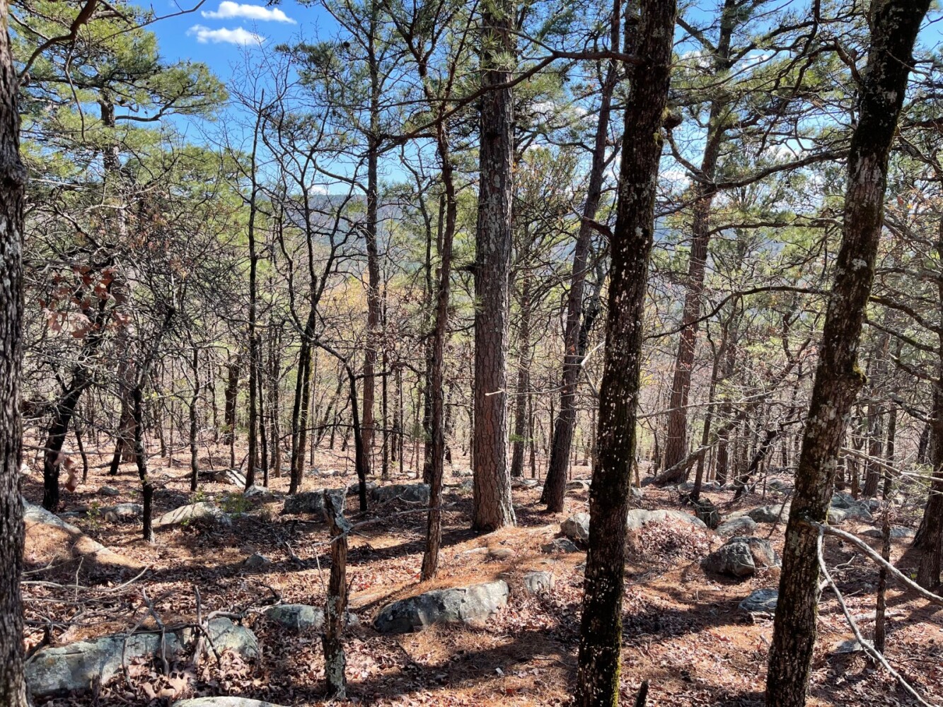 Land for Sale in Pushmataha County, OK (37 of 100)