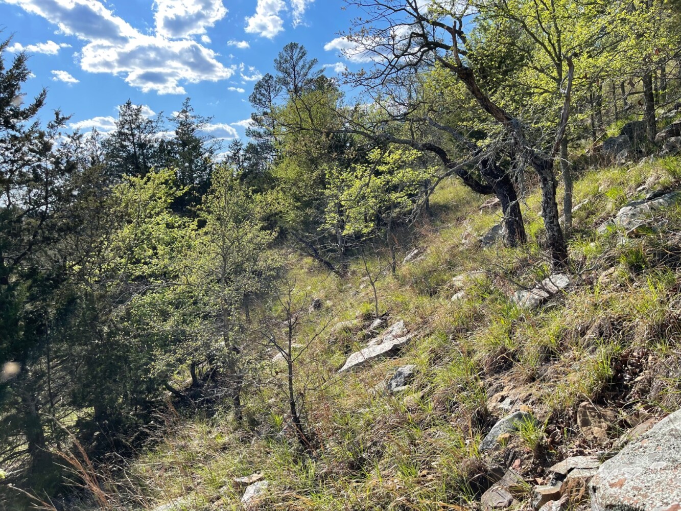 Land for Sale in Pushmataha County, OK (38 of 100)