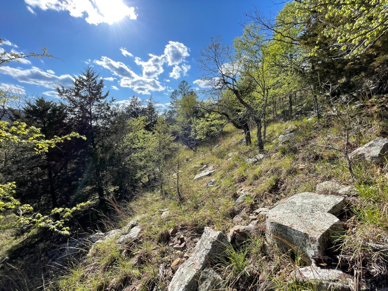 Land for Sale in Pushmataha County, OK (39 of 100)