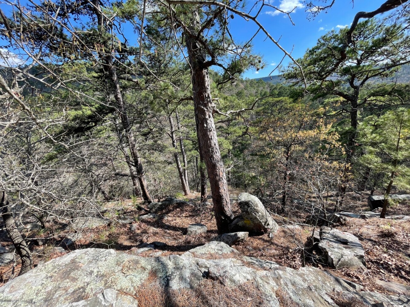 Land for Sale in Pushmataha County, OK (42 of 100)