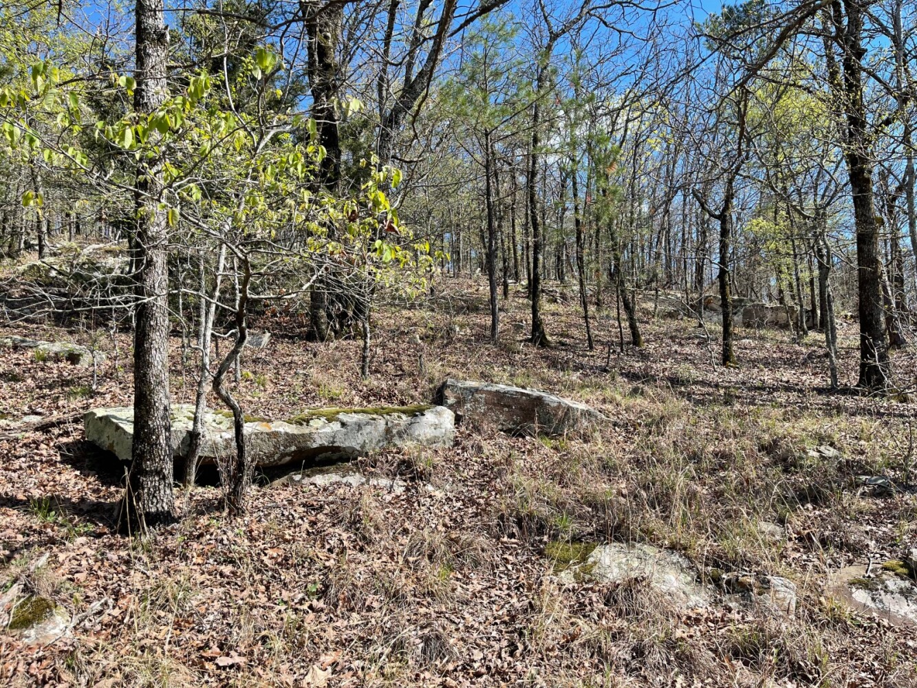 Land for Sale in Pushmataha County, OK (43 of 100)