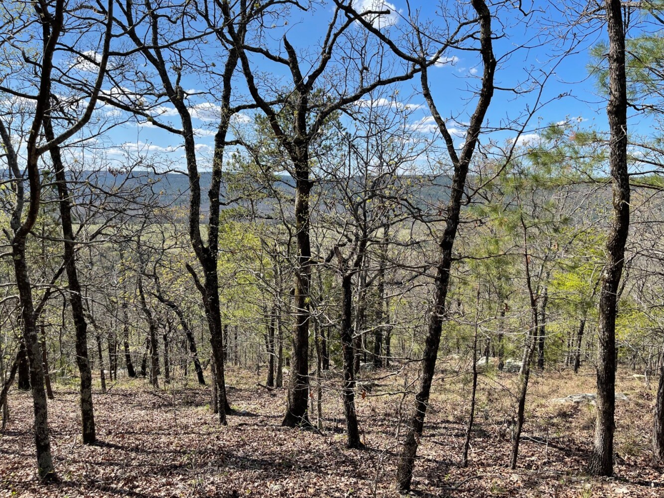 Land for Sale in Pushmataha County, OK (44 of 100)