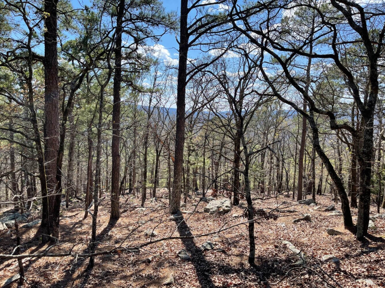 Land for Sale in Pushmataha County, OK (45 of 100)