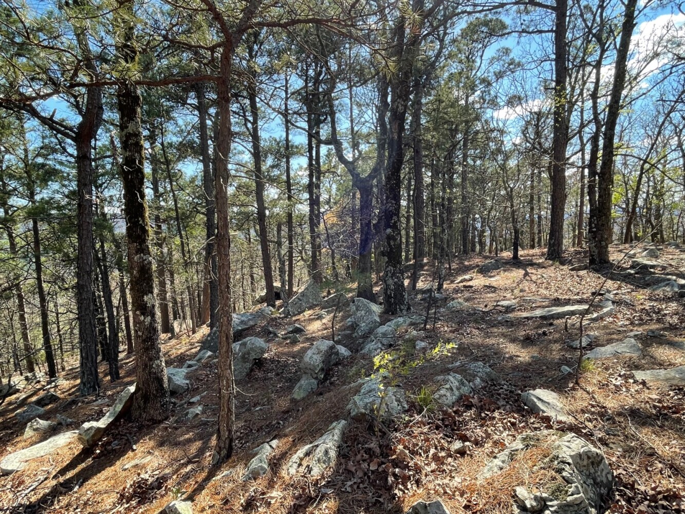 Land for Sale in Pushmataha County, OK (46 of 100)