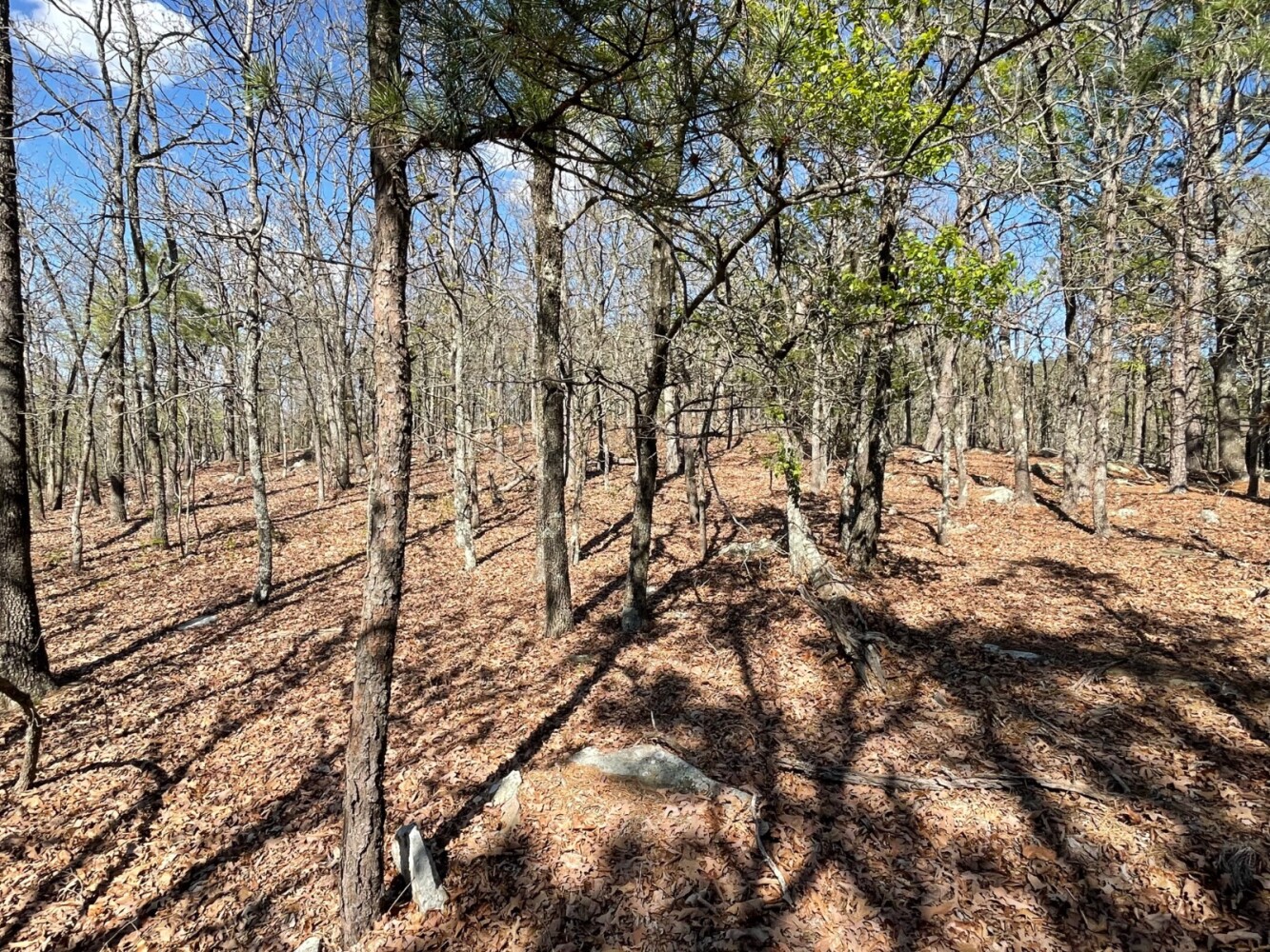 Land for Sale in Pushmataha County, OK (47 of 100)