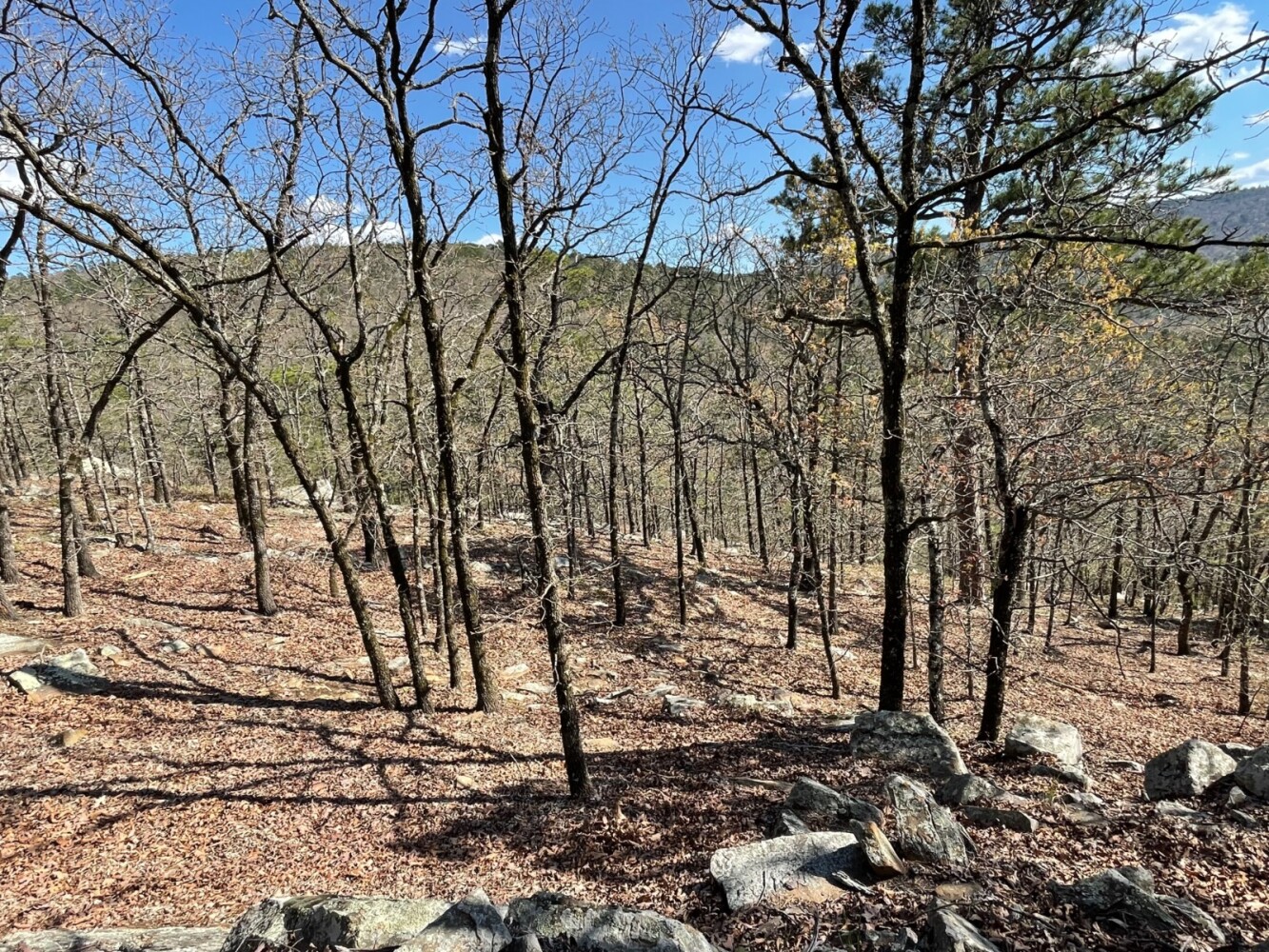 Land for Sale in Pushmataha County, OK (48 of 100)