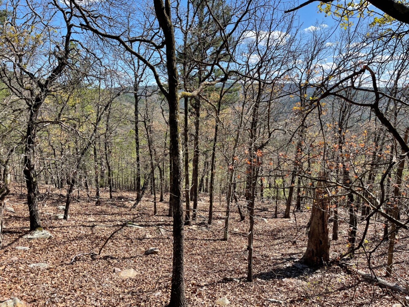 Land for Sale in Pushmataha County, OK (49 of 100)