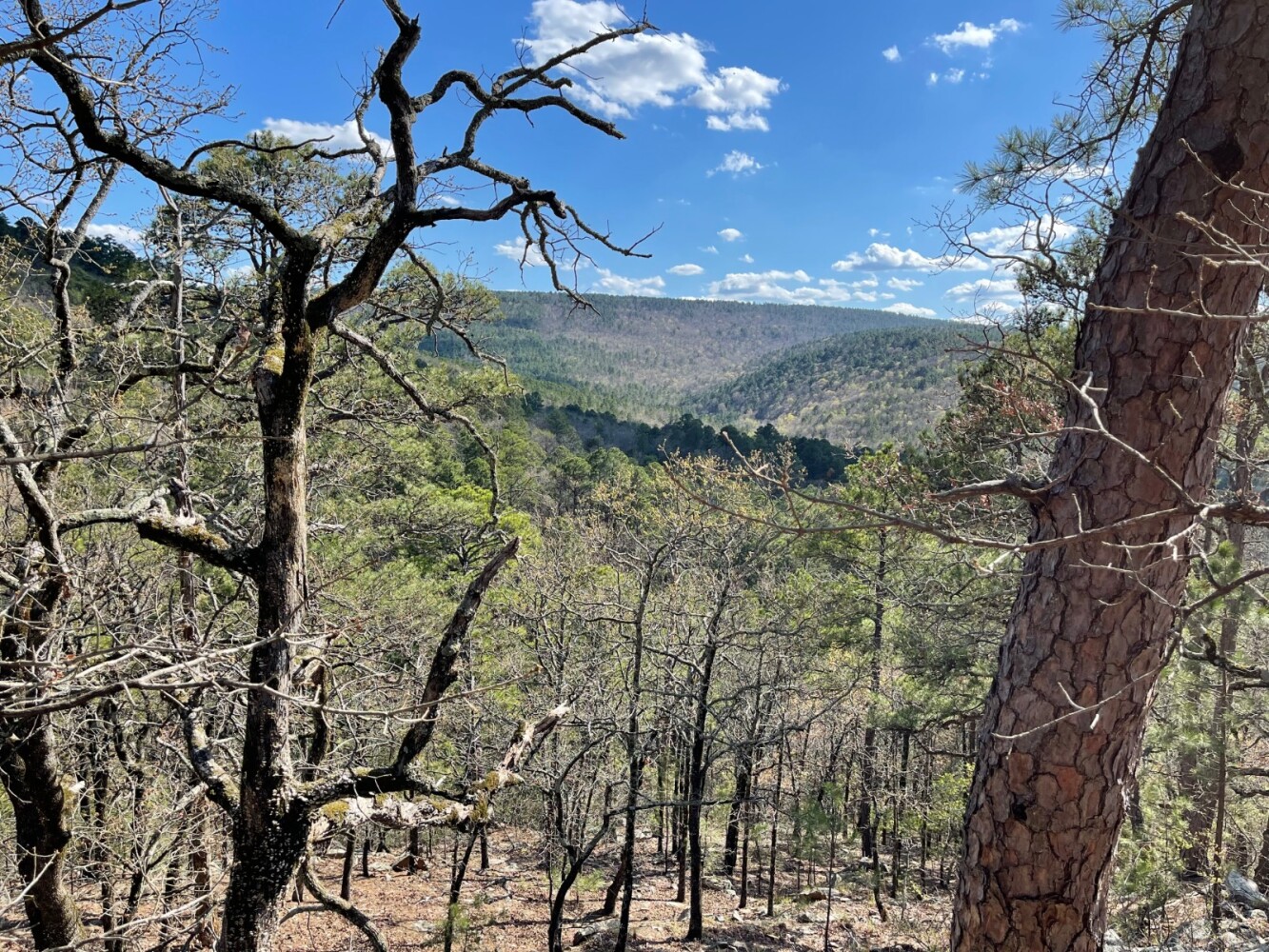 Land for Sale in Pushmataha County, OK (51 of 100)