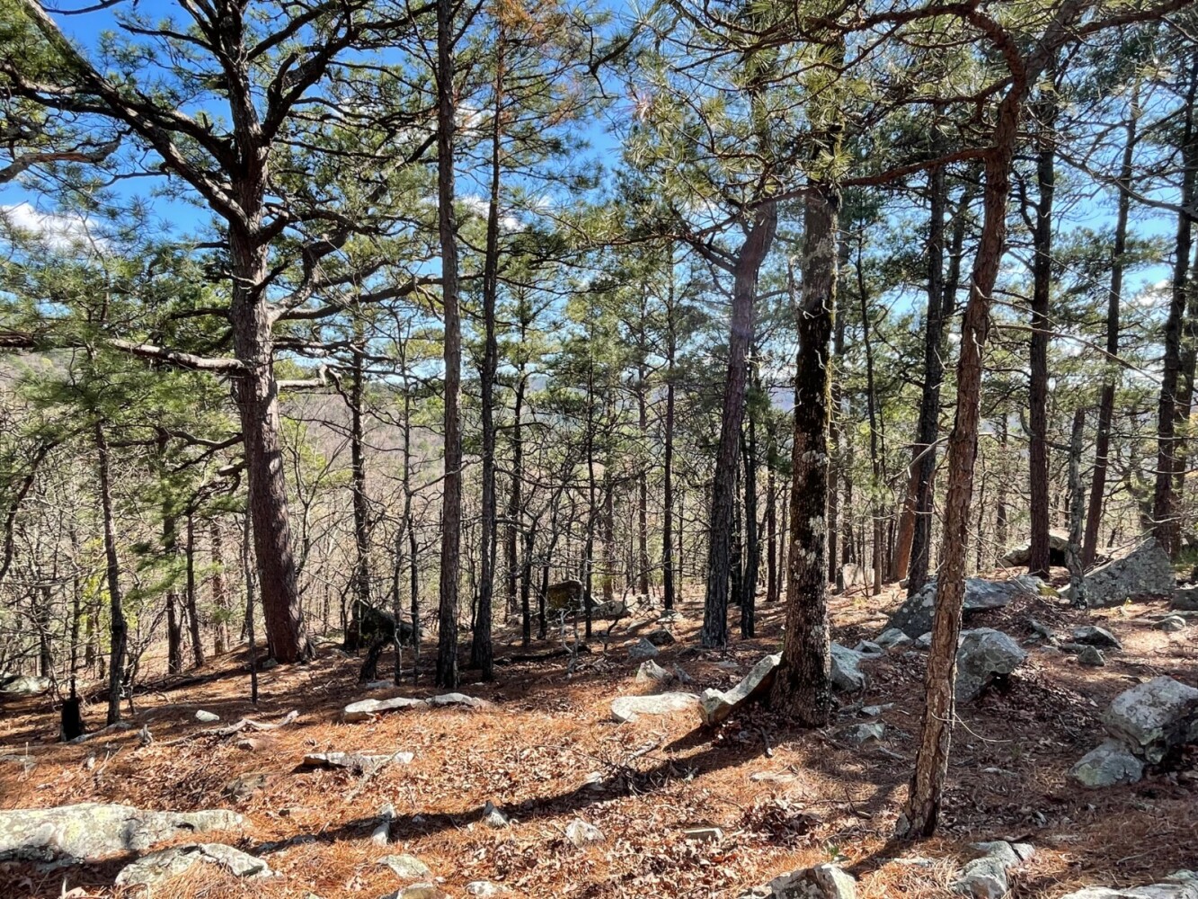 Land for Sale in Pushmataha County, OK (52 of 100)