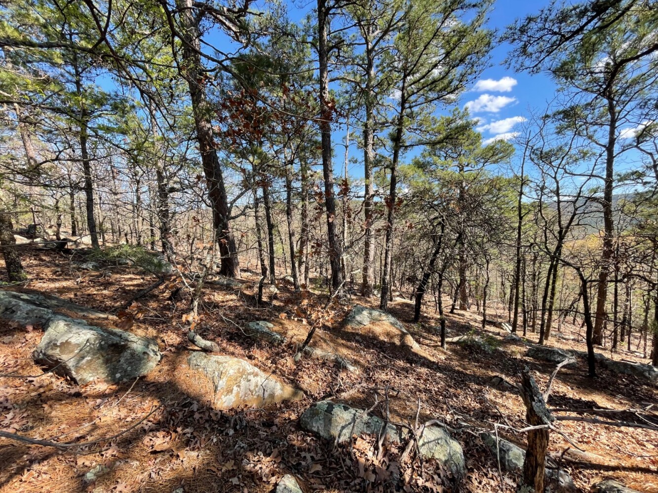 Land for Sale in Pushmataha County, OK (53 of 100)
