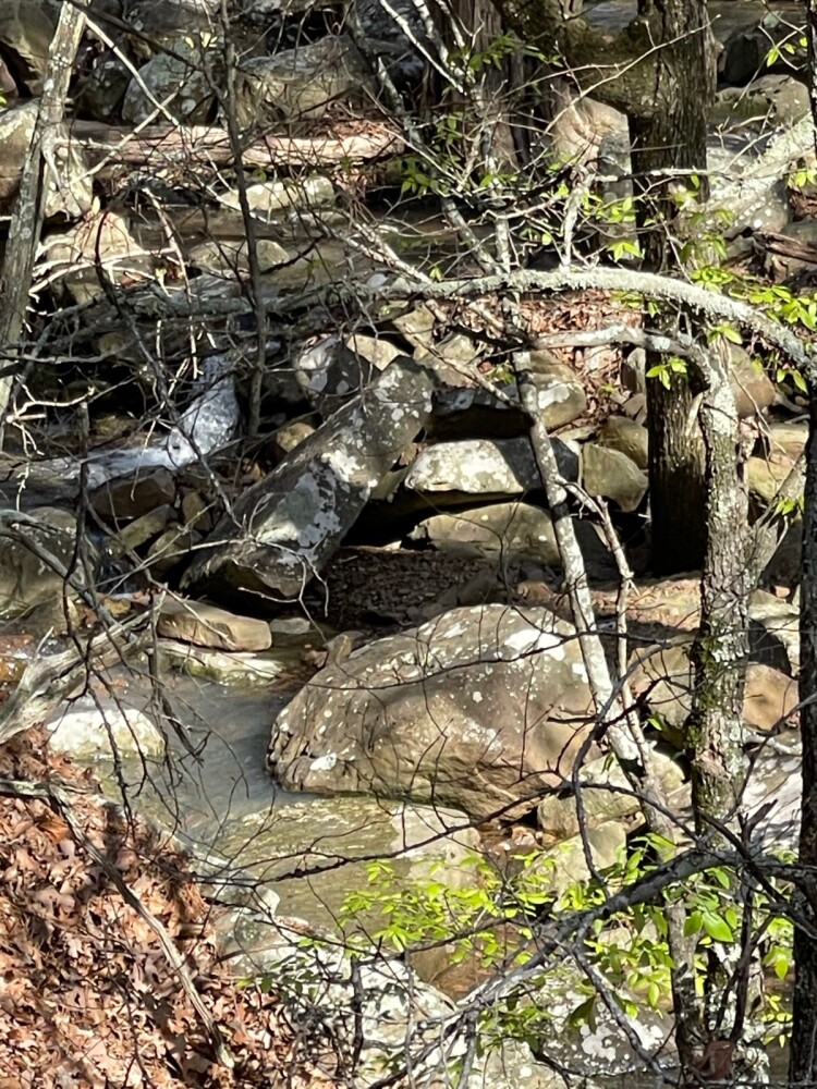 Land for Sale in Pushmataha County, OK (55 of 100)