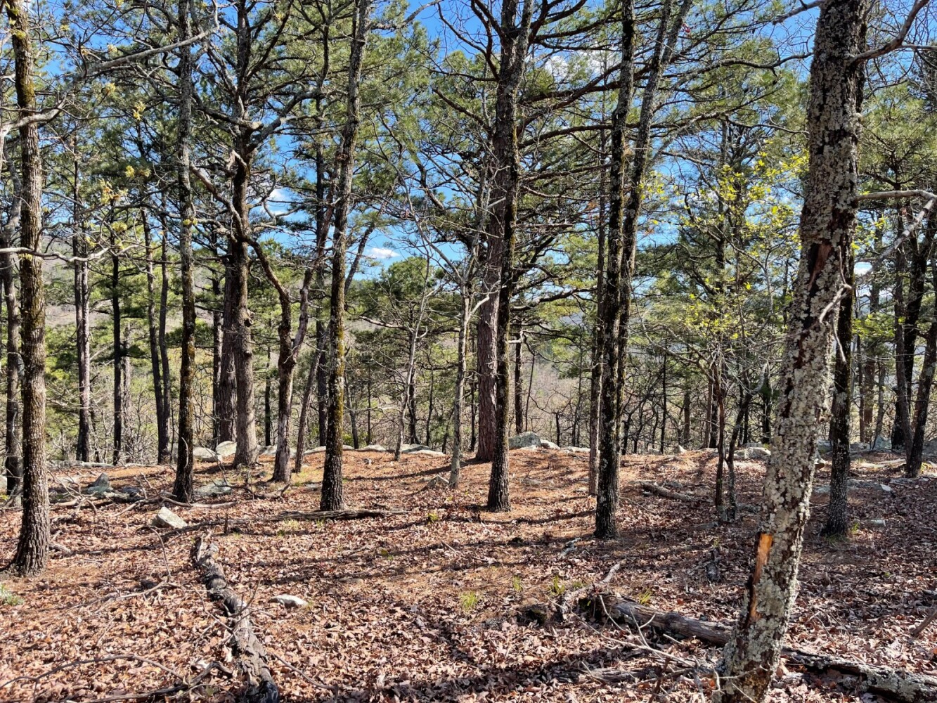 Land for Sale in Pushmataha County, OK (56 of 100)
