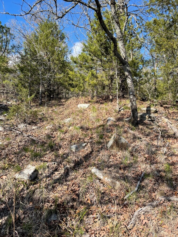 Land for Sale in Pushmataha County, OK (57 of 100)