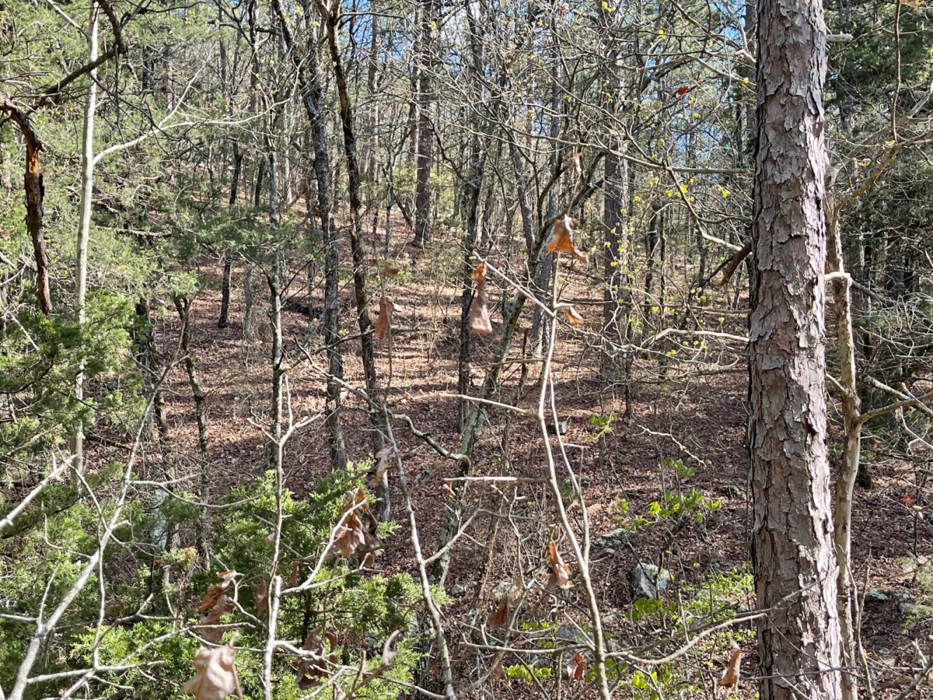 Land for Sale in Pushmataha County, OK (58 of 100)