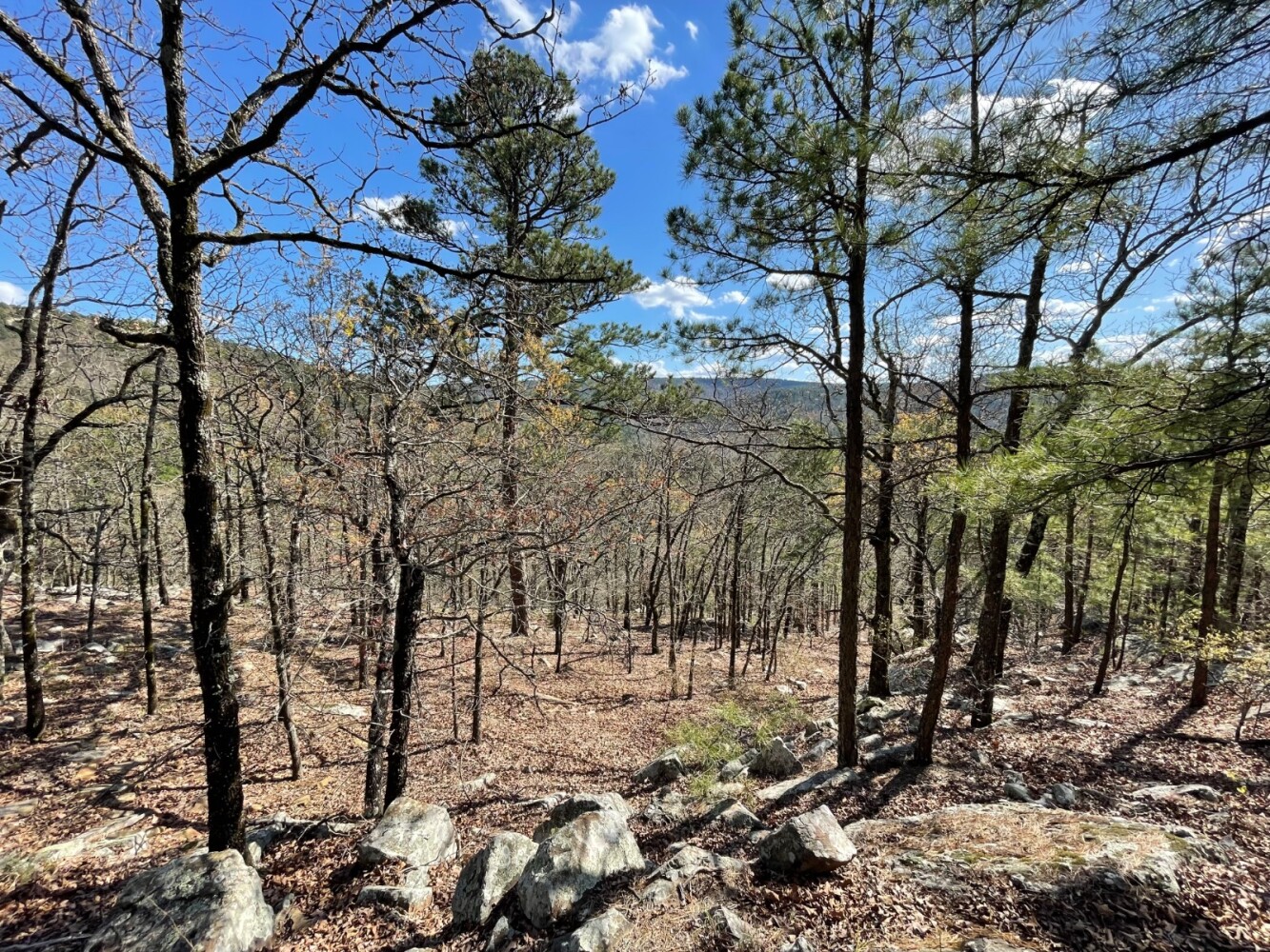 Land for Sale in Pushmataha County, OK (59 of 100)