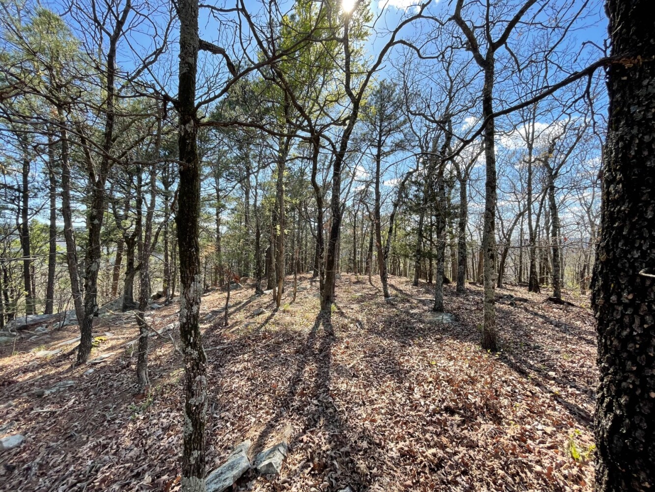 Land for Sale in Pushmataha County, OK (60 of 100)