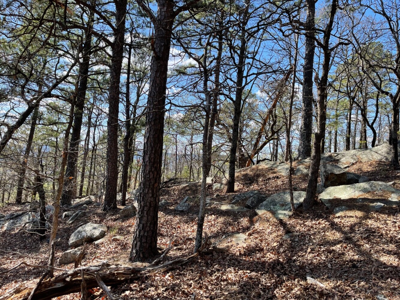 Land for Sale in Pushmataha County, OK (61 of 100)