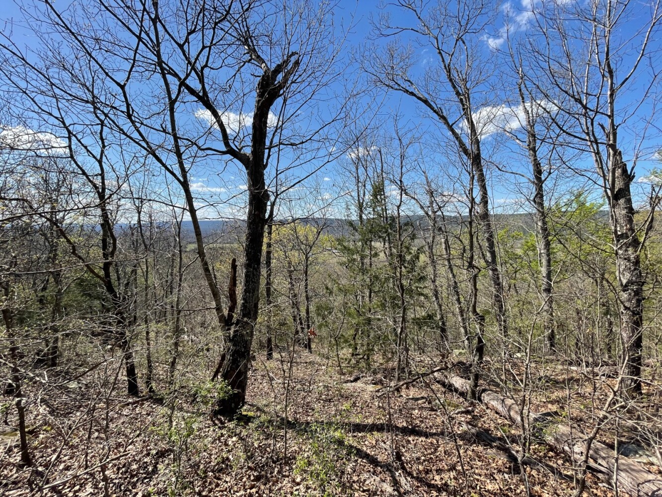 Land for Sale in Pushmataha County, OK (62 of 100)