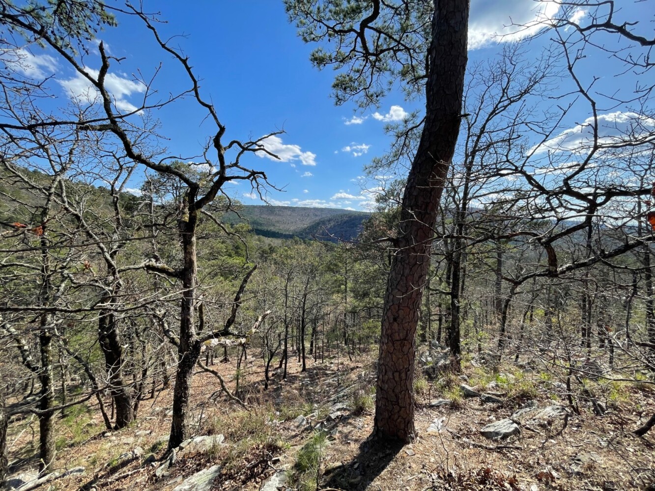 Land for Sale in Pushmataha County, OK (63 of 100)