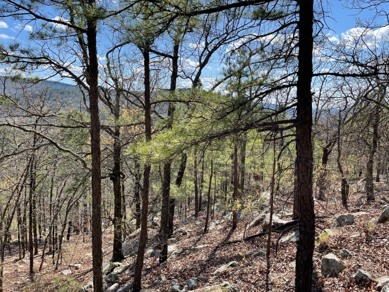 Land for Sale in Pushmataha County, OK (65 of 100)