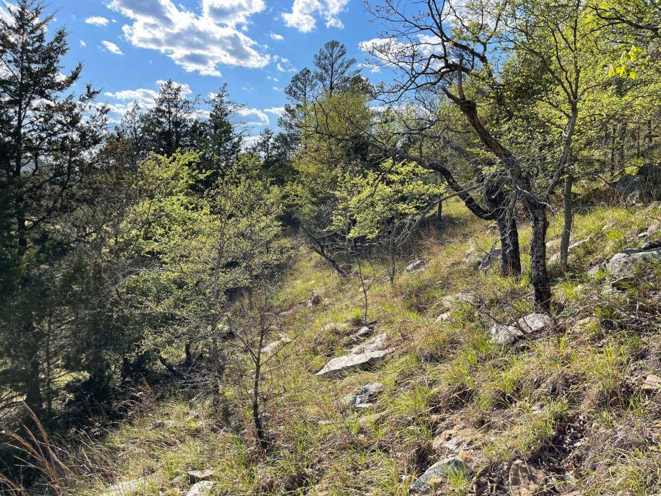 Land for Sale in Pushmataha County, OK (66 of 100)