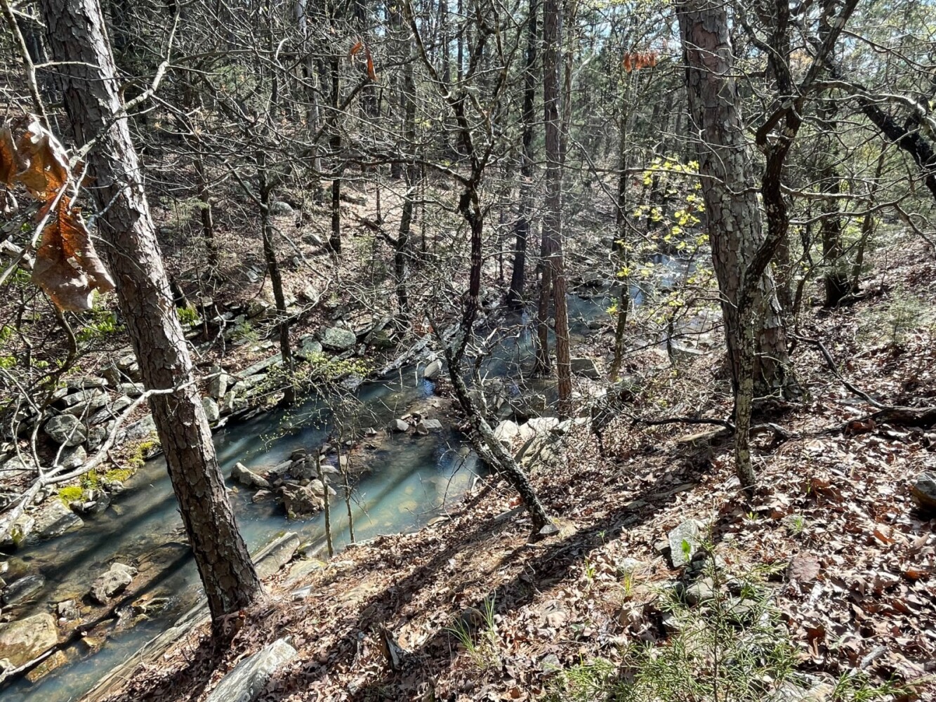 Land for Sale in Pushmataha County, OK (68 of 100)