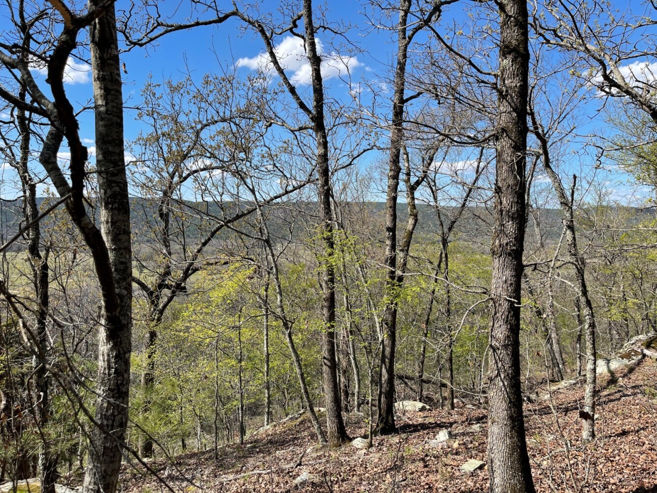 Land for Sale in Pushmataha County, OK (70 of 100)