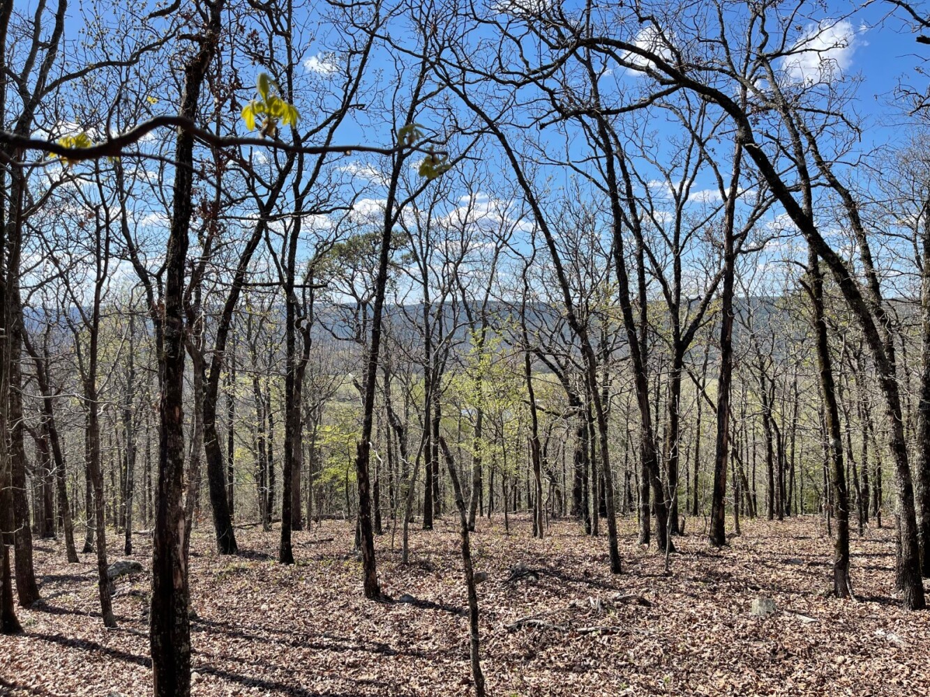 Land for Sale in Pushmataha County, OK (71 of 100)