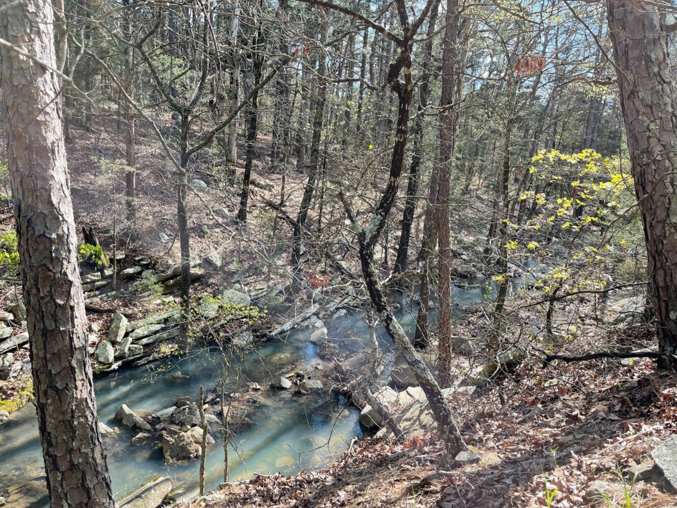 Land for Sale in Pushmataha County, OK (72 of 100)