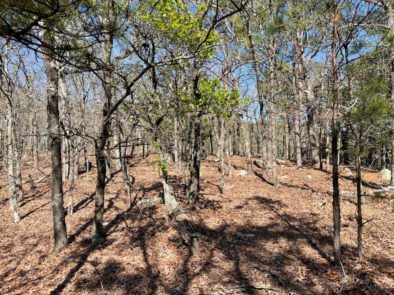 Land for Sale in Pushmataha County, OK (74 of 100)