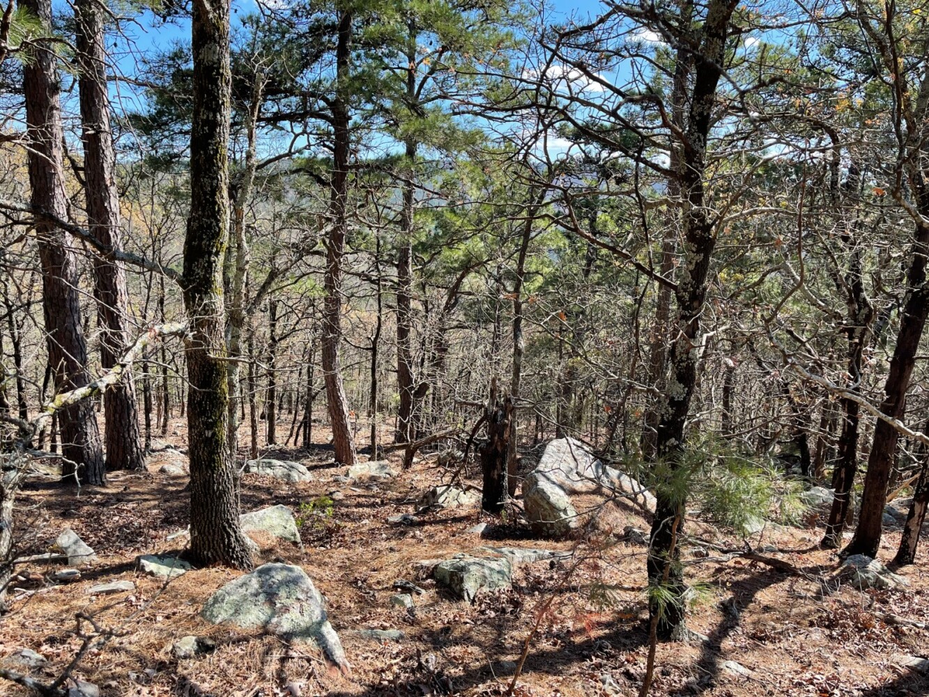 Land for Sale in Pushmataha County, OK (75 of 100)