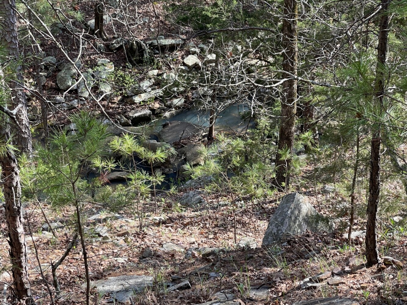 Land for Sale in Pushmataha County, OK (76 of 100)