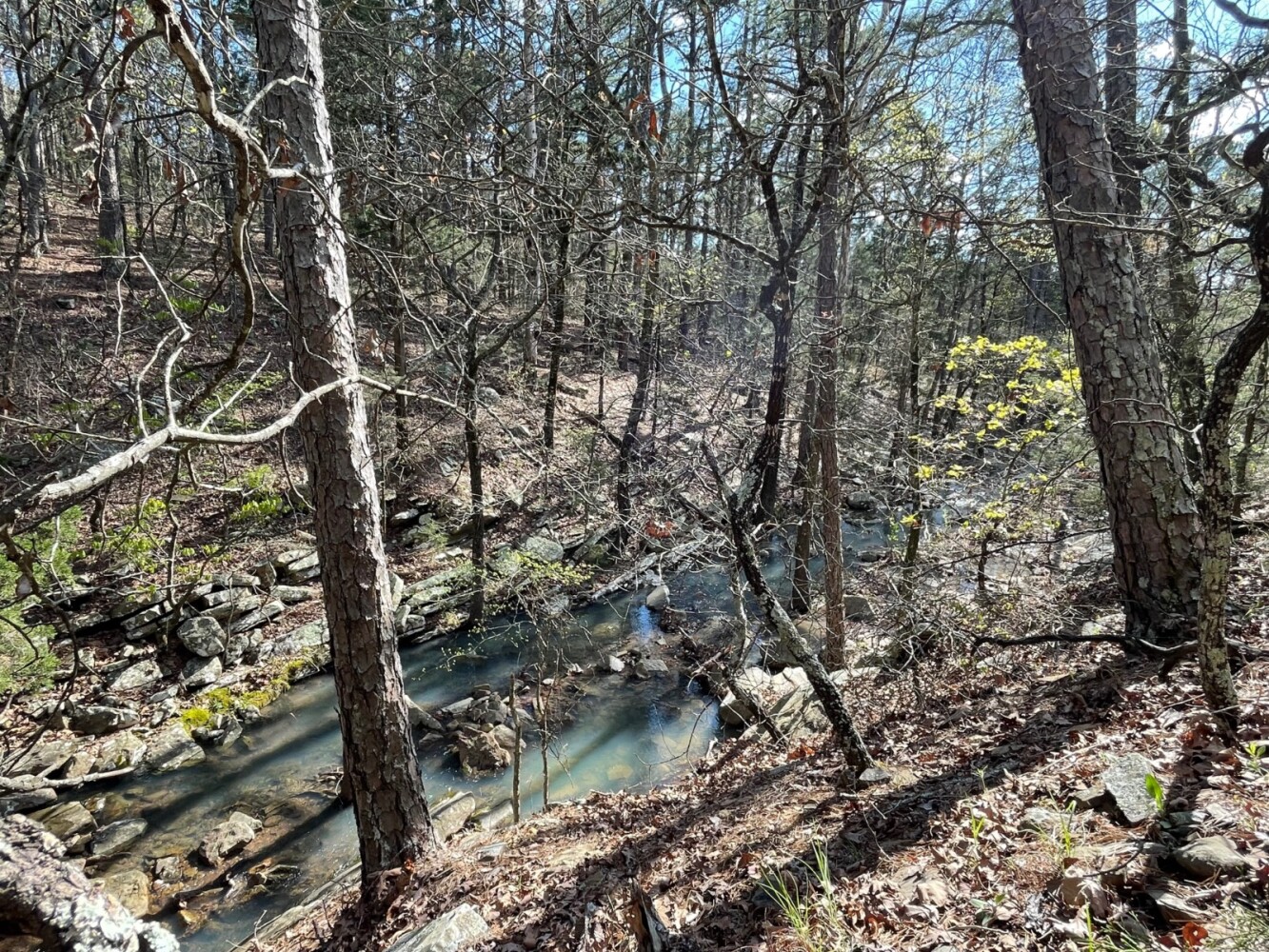 Land for Sale in Pushmataha County, OK (79 of 100)