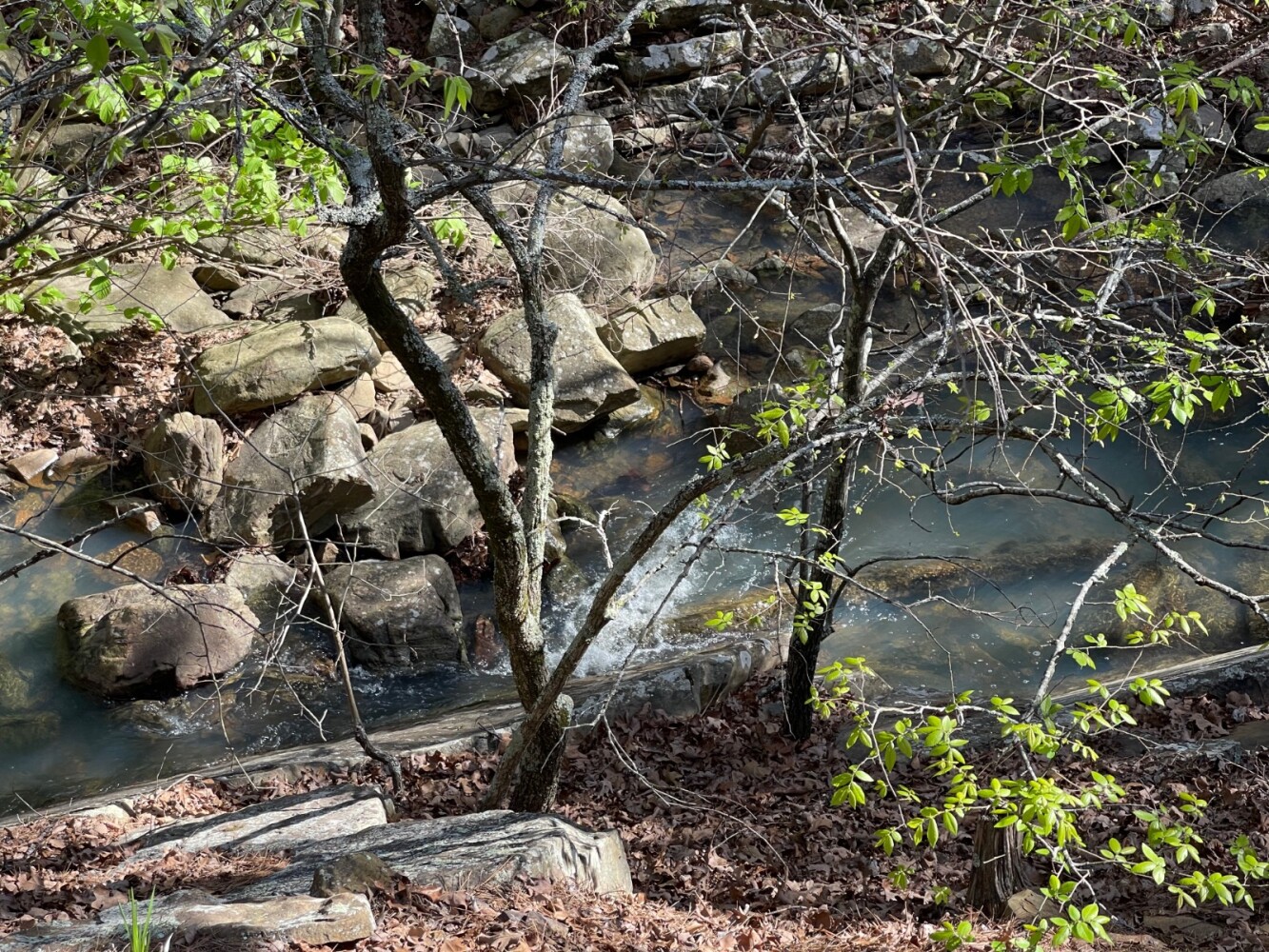 Land for Sale in Pushmataha County, OK (80 of 100)