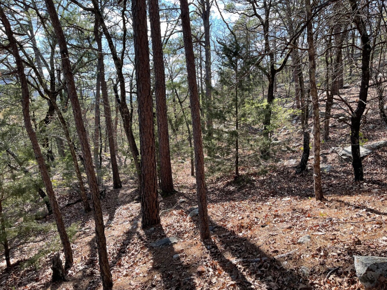 Land for Sale in Pushmataha County, OK (81 of 100)