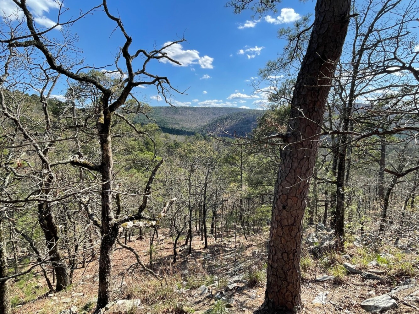 Land for Sale in Pushmataha County, OK (82 of 100)