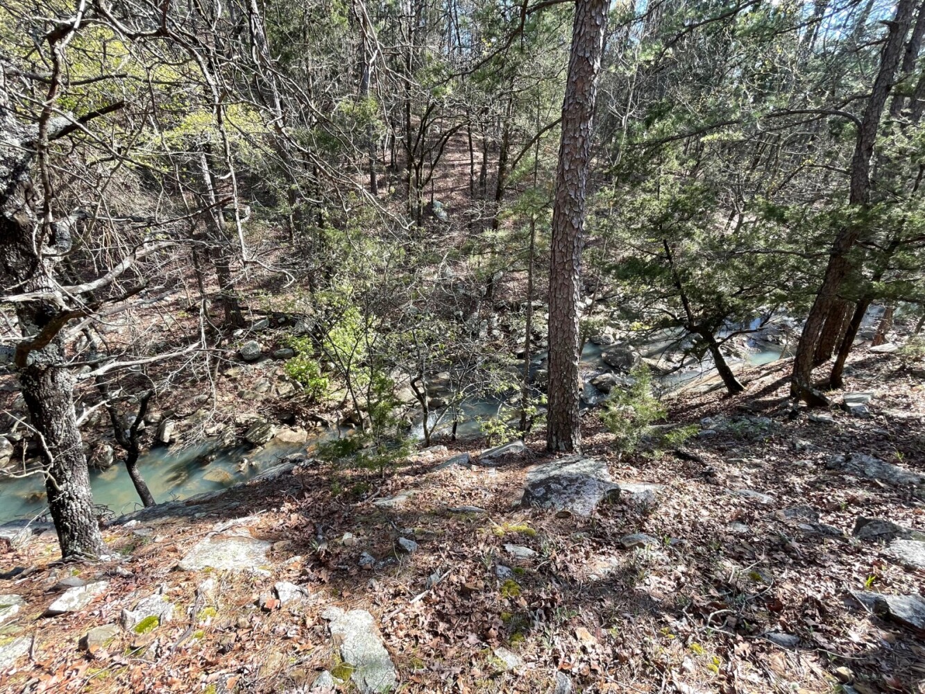 Land for Sale in Pushmataha County, OK (83 of 100)