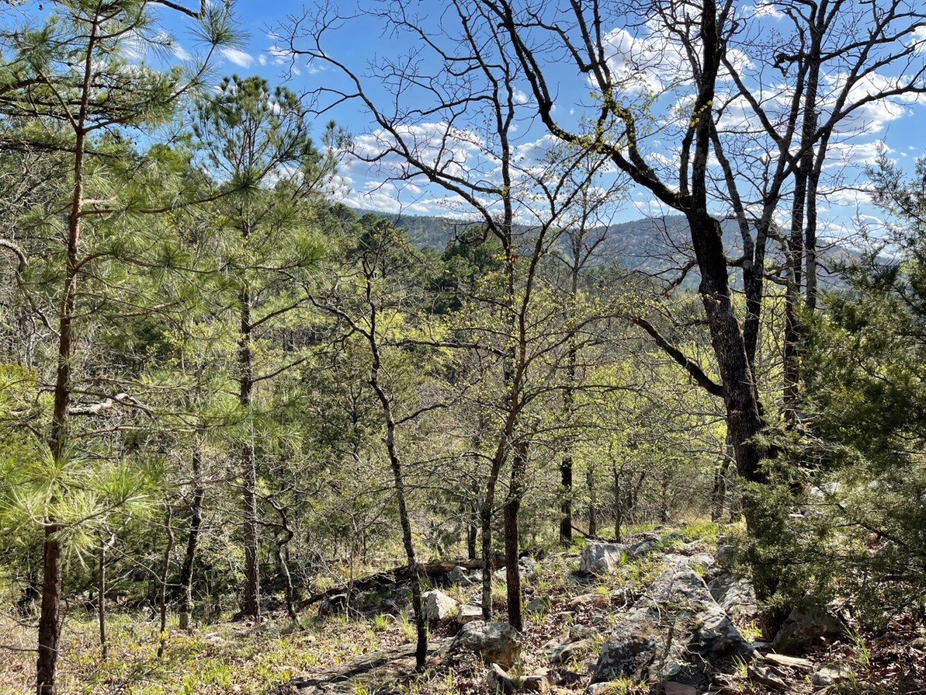 Land for Sale in Pushmataha County, OK (84 of 100)