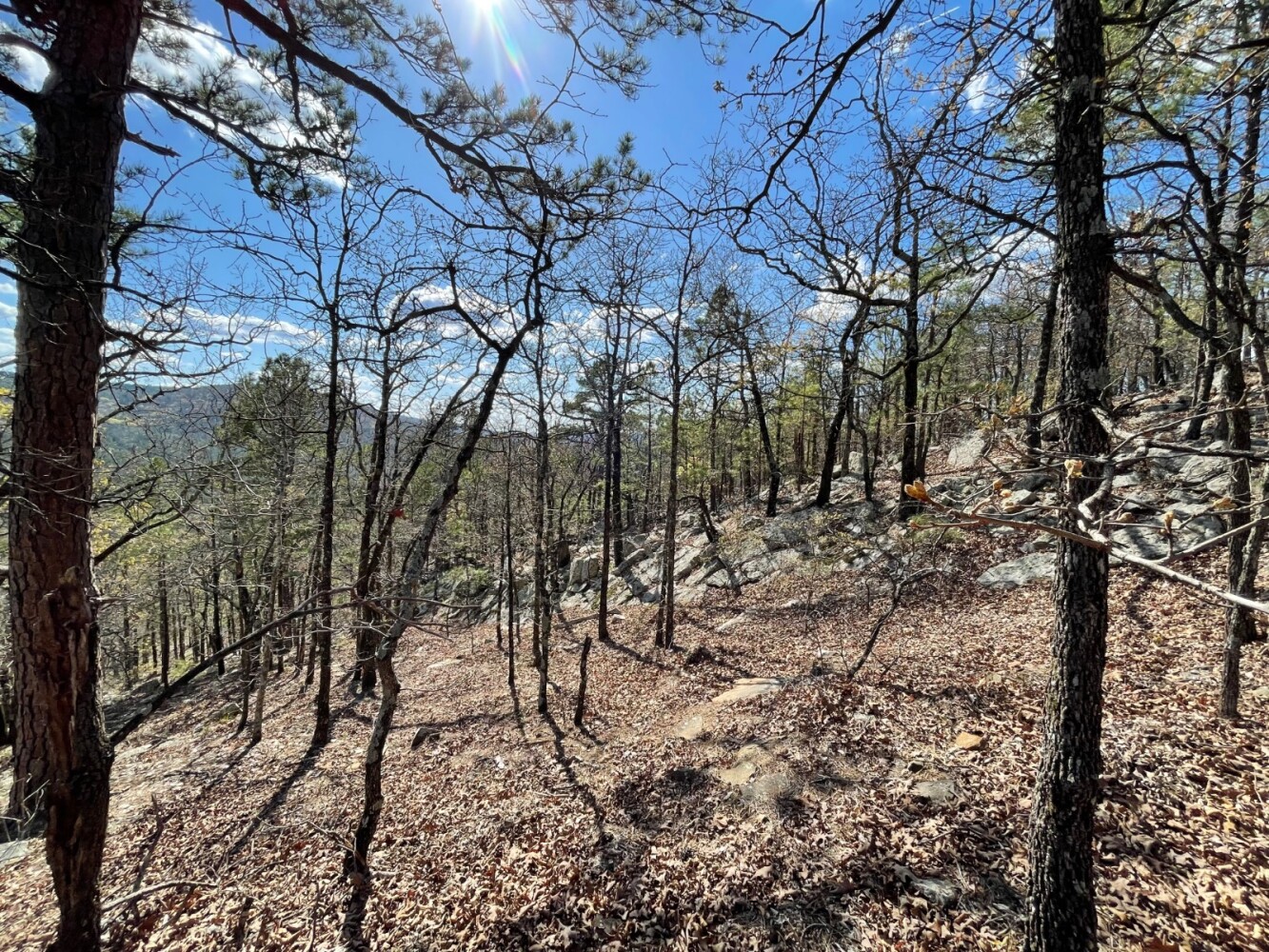 Land for Sale in Pushmataha County, OK (86 of 100)