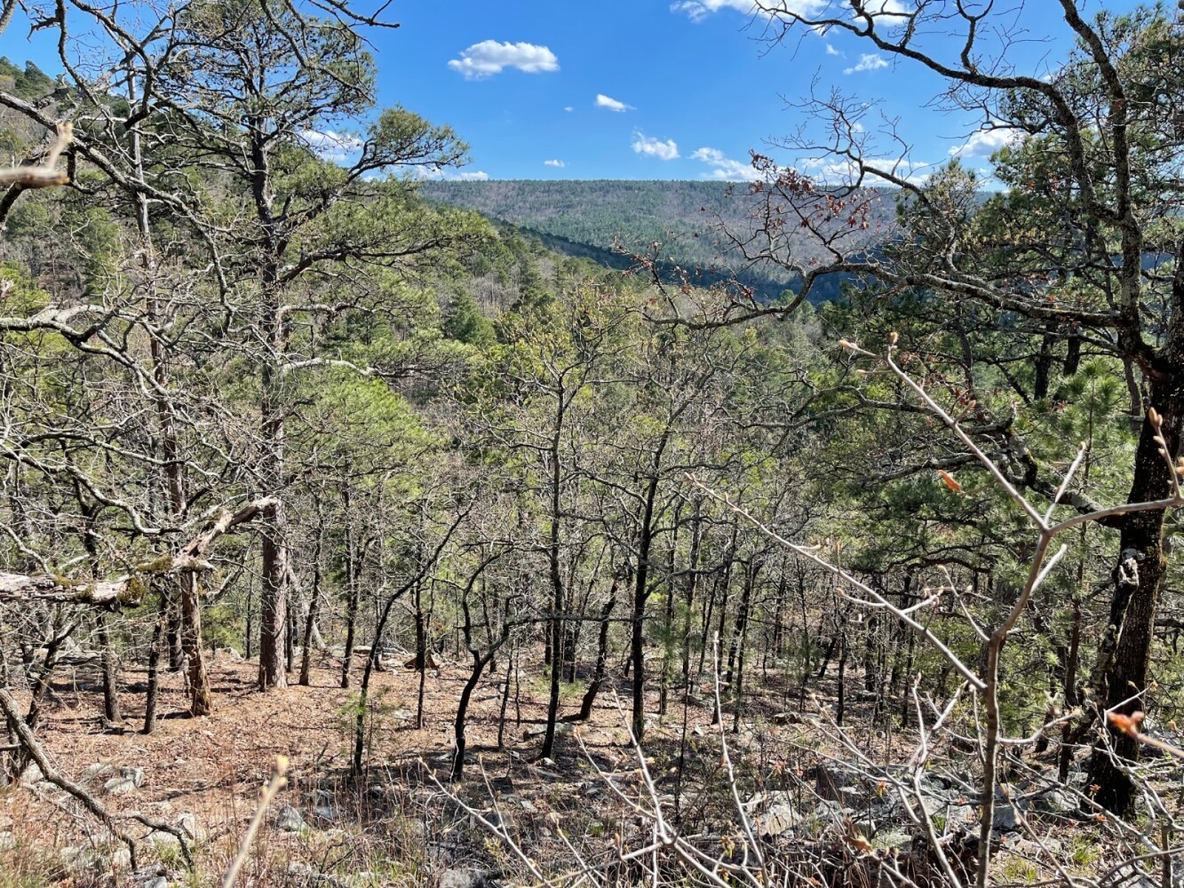 Land for Sale in Pushmataha County, OK (88 of 100)
