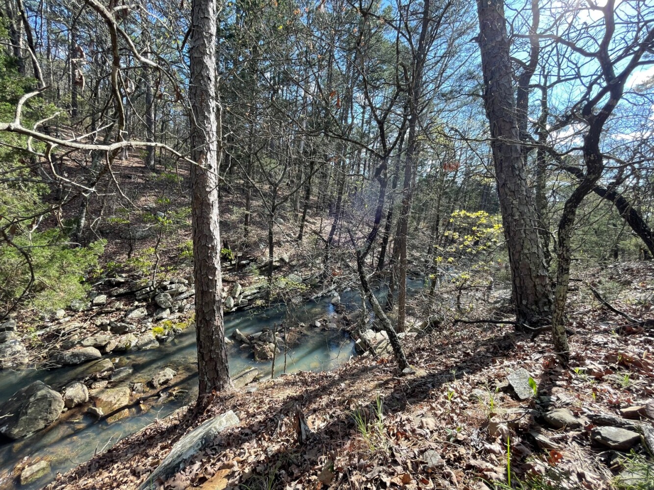 Land for Sale in Pushmataha County, OK (89 of 100)