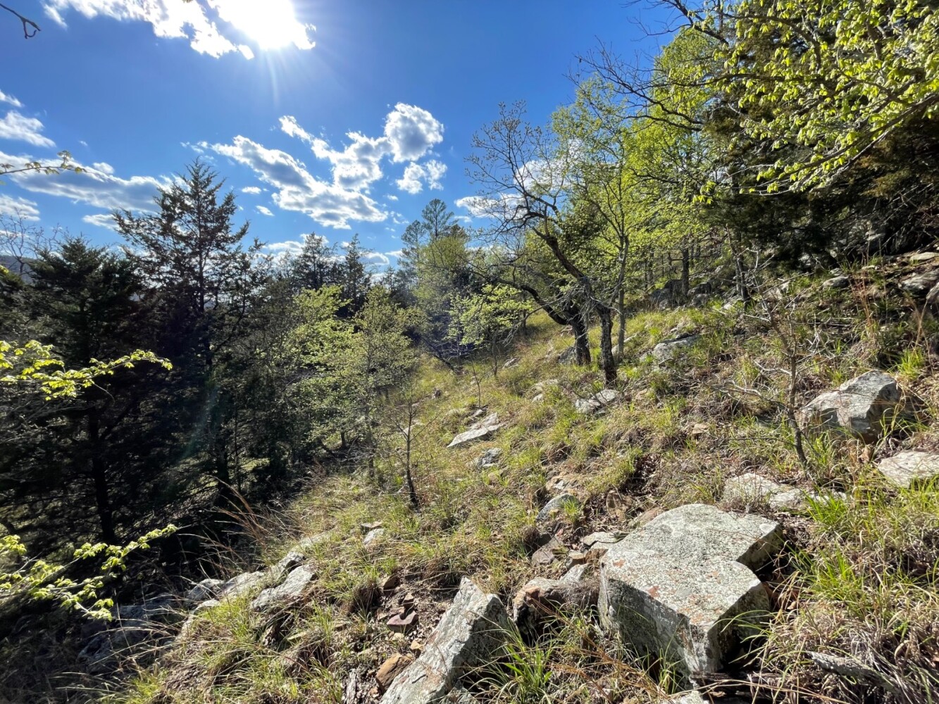 Land for Sale in Pushmataha County, OK (90 of 100)